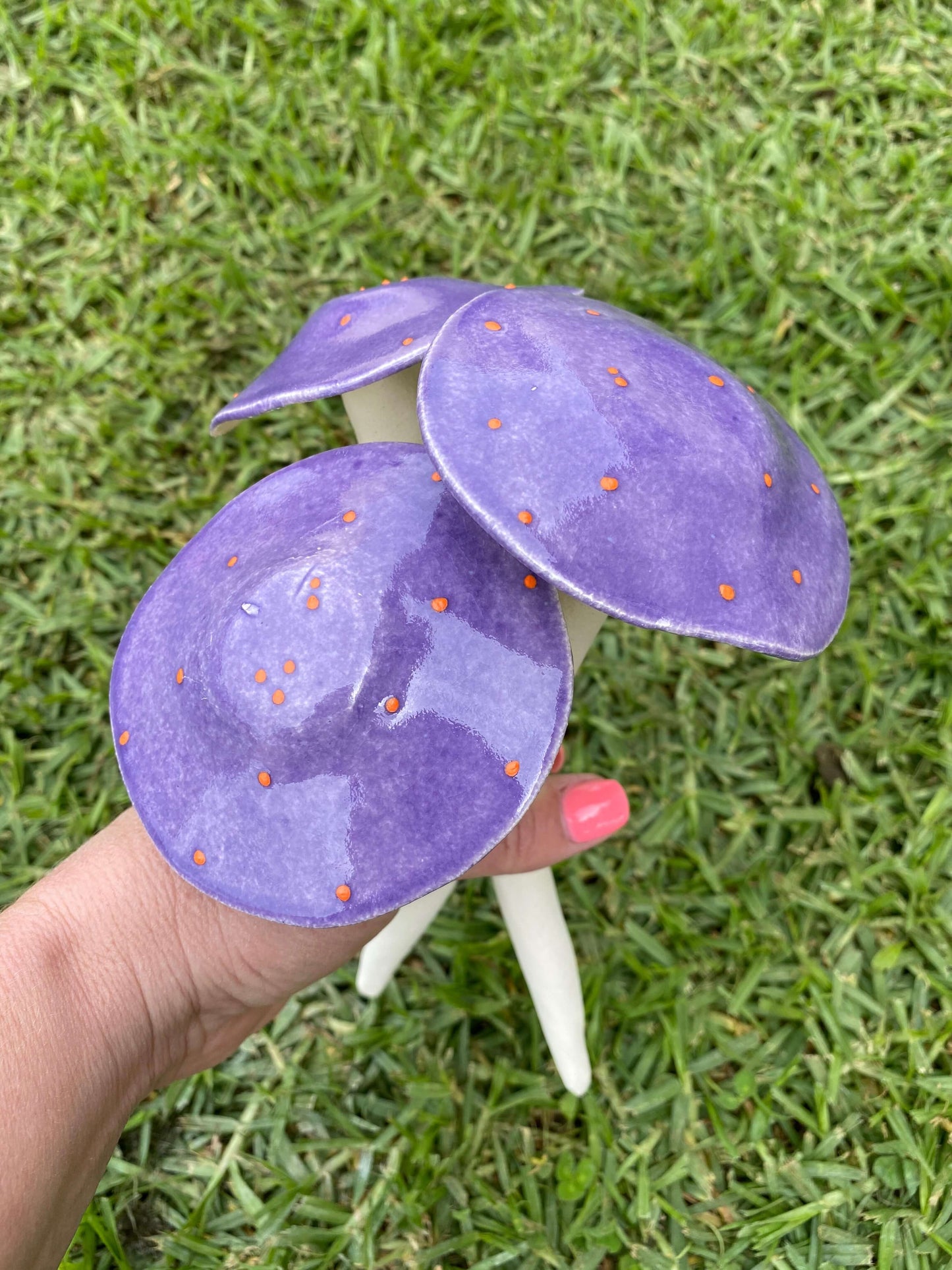Ceramic - Mushrooms (Purple)