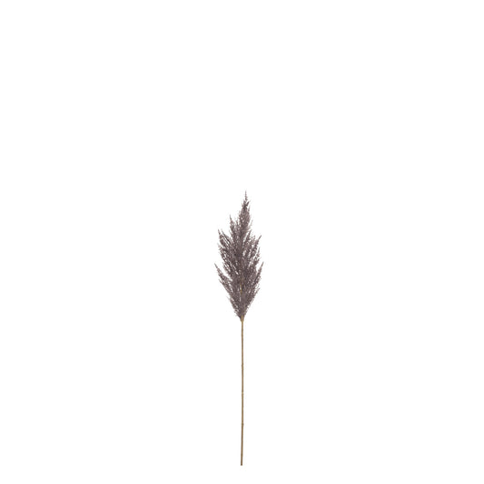 Pampas Grass Spray