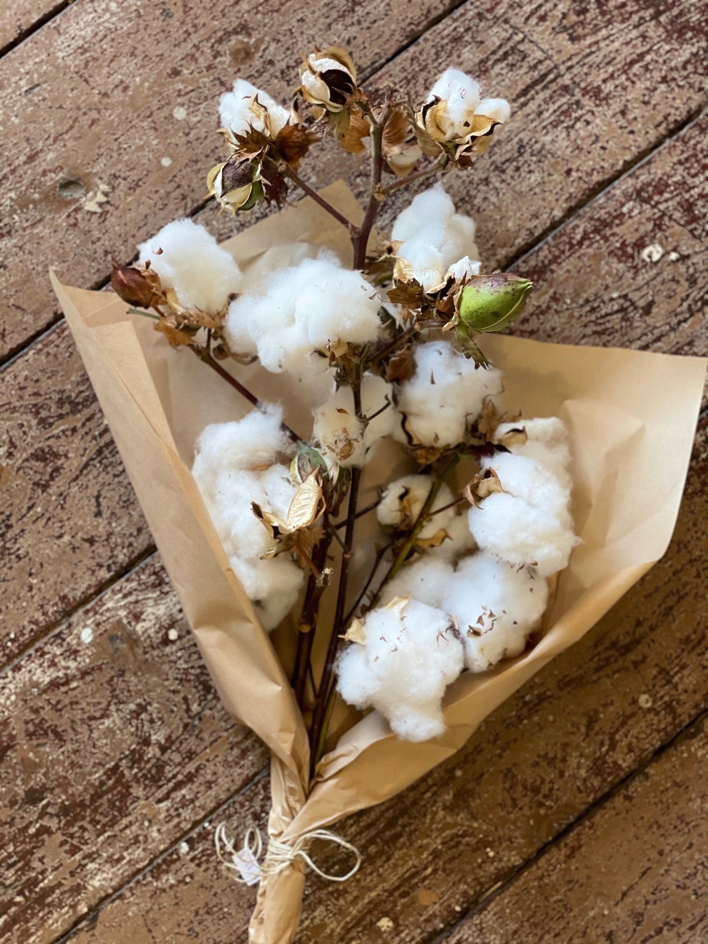 Cotton Wool Bunches - Local (from the farm)