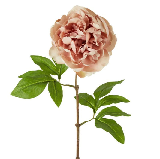 Peony Stem 61cm Blush