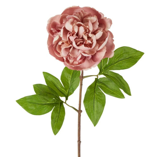 Peony Stem 61cm Pink