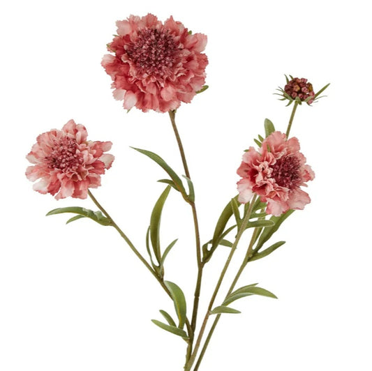 Scabiosa Spray Stem 80cm Pink