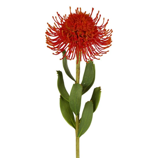 Pincushion Flower Stem 58cm Red