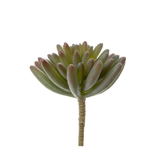 Succulent Spray 7cm Burgundy