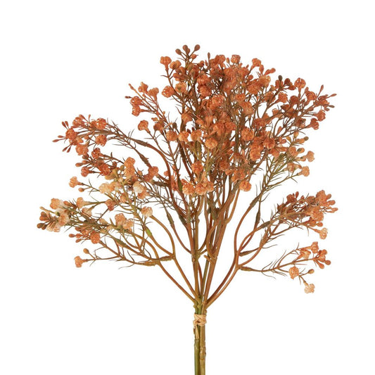 Gypsophila Bundle Apricot