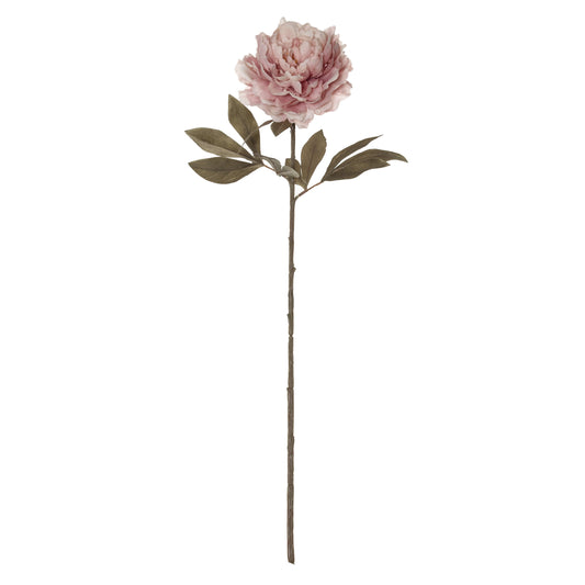 Peony Stem - Soft Pink