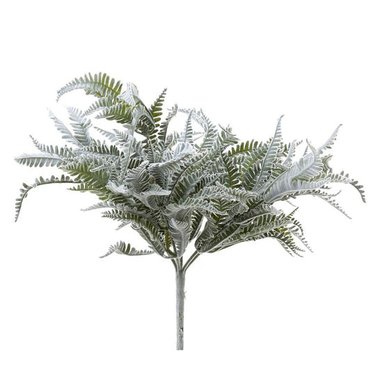 Fern Lamb Bush (45cm)